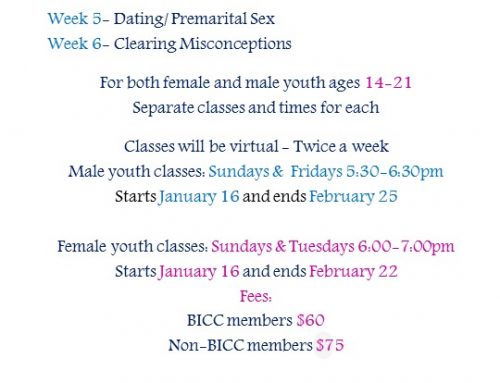BICC Youth Program, Third course, Society and its Forces of Destruction, Understand and Overcome Course Registration Form